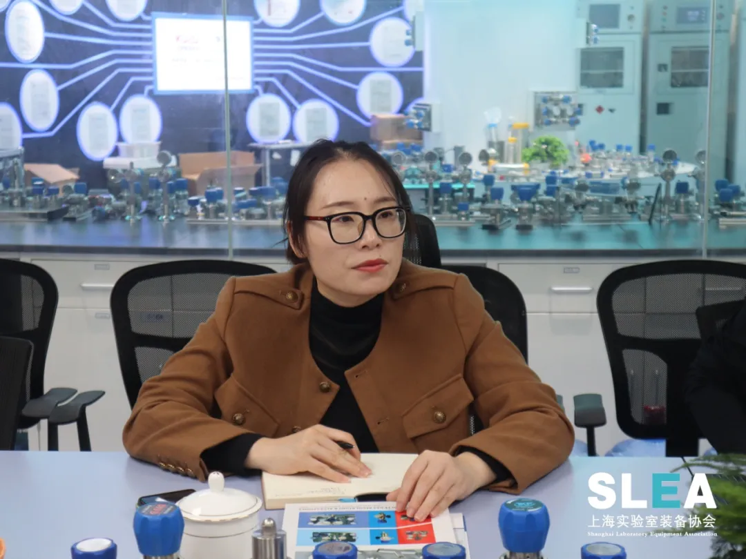 Precision air pressure regulator